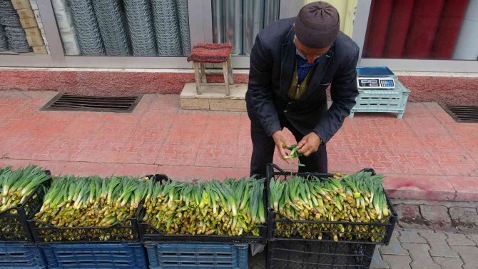 Şifa Kaynağı ’Çiriş’ Otu Tezgahlardaki Yerini Aldı