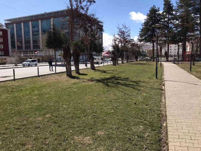 Tatvan’daki Park Ve Bahçelerde Bakım Çalışması