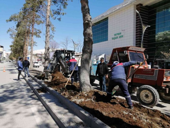 Tatvan’daki Park Ve Bahçelerde Bakım Çalışması