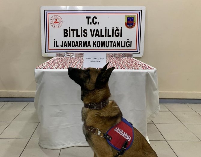 Bitlis’te 2 Bin 800 Adet Uyuşturucu Hap Ele Geçirildi