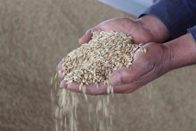 Hayvan Üreticisine 1 Yılda 1 Milyon Tl’lik Nakliye Desteği