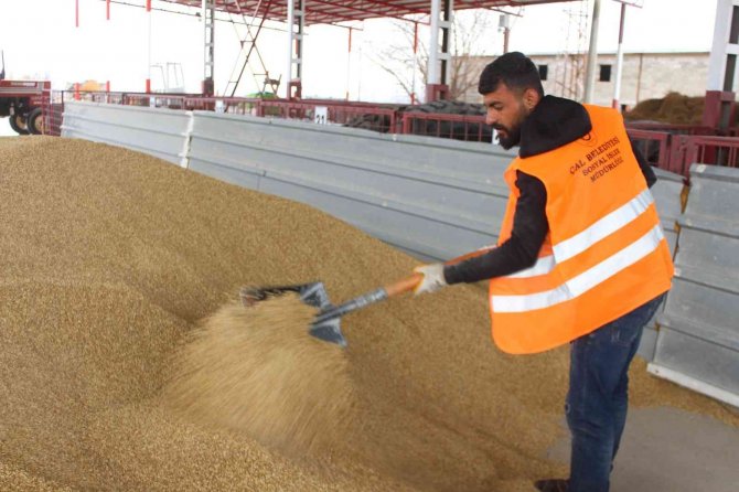 Hayvan Üreticisine 1 Yılda 1 Milyon Tl’lik Nakliye Desteği