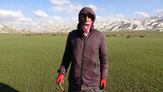 Çetin Kış Mevsiminin Ardından Koyunlar Meralara Çıkarılmaya Başladı