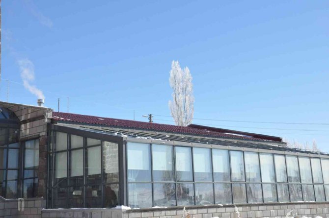 Kars Eksi 13 İle Dondu, Ağaçlar Kırağı Tuttu