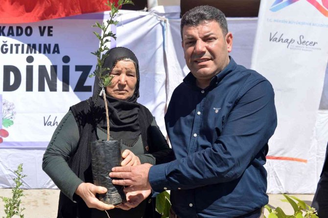 Büyükşehir Belediyesinden Erdemlili Üreticilere Avokado Ve Alıç Fidanı