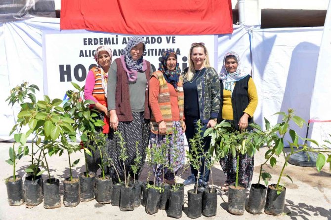Büyükşehir Belediyesinden Erdemlili Üreticilere Avokado Ve Alıç Fidanı