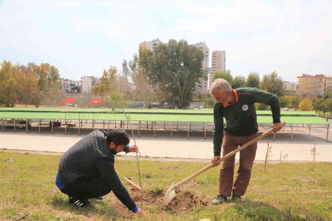 Toroslar’da Yeşil Alanların Bakımı Yapılıyor