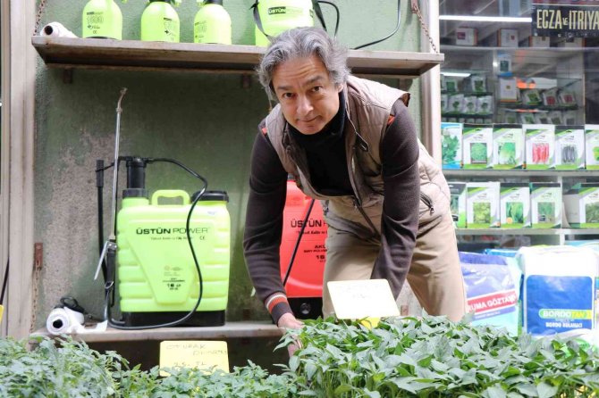 Balkonda Bile Yetişen Sebze Fidelerine İlgi Arttı