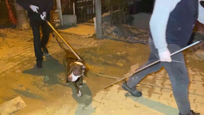 Alkollü Şahıs Tartıştığı Eşini Bıçaklayarak Ağır Yaraladı