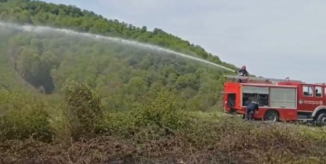 Sakarya’da Arazide Korkutan Yangın: Evlere Metreler Kala Söndürüldü