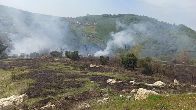 Sakarya’da Arazide Korkutan Yangın: Evlere Metreler Kala Söndürüldü