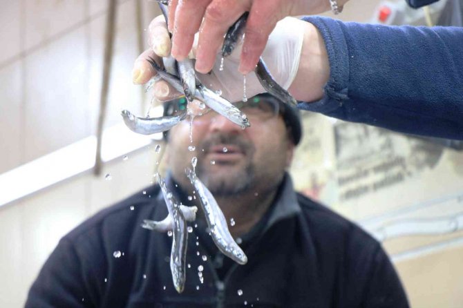 Karadeniz’de Balık Sezonu Yasaktan Önce Bitti