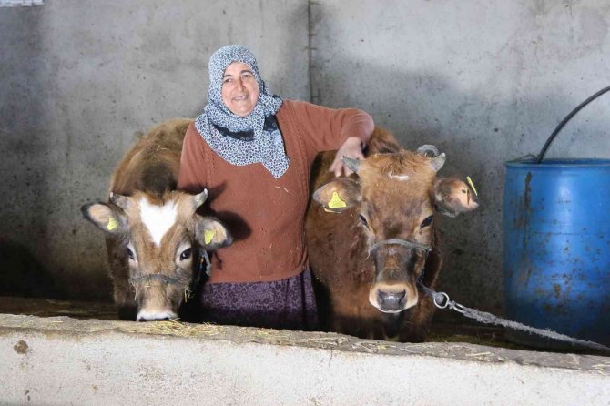 Başkan Deveci: “Amacımız Tarım Ve Hayvancılığı Desteklemek”