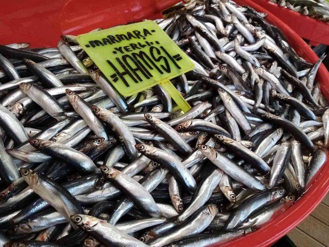 Sezonun Son Balıkları Tezgahlarda