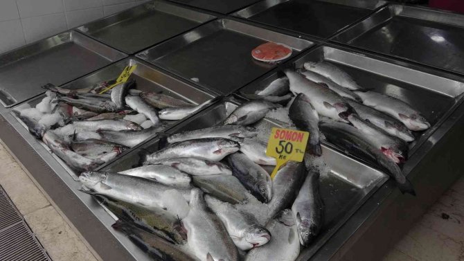 Av Yasağı Gelmeden Balıkçılar Ağları Bakıma Aldı