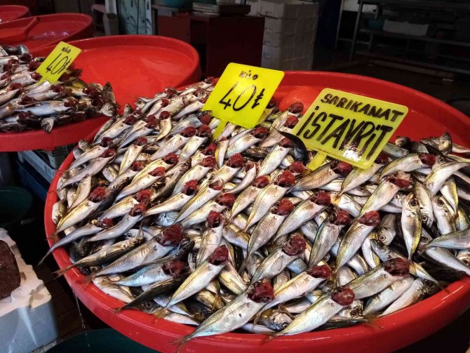 Sezonun Son Balıkları Tezgahlarda