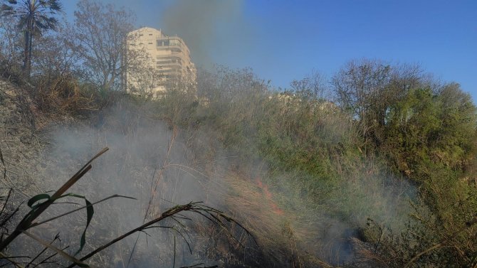 Falezlerde Kargılık Alandaki Yangın Korkuttu