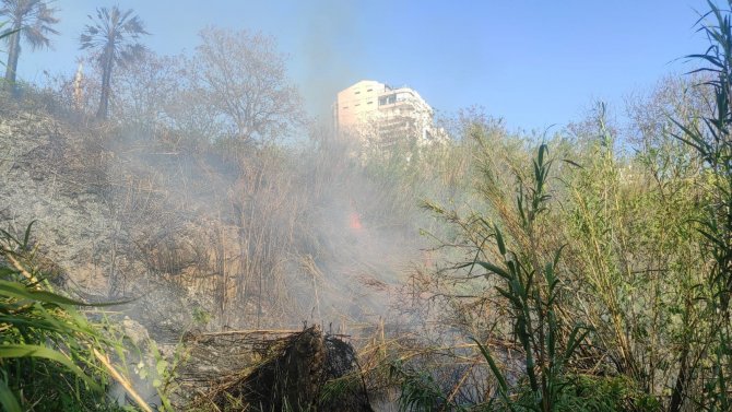 Falezlerde Kargılık Alandaki Yangın Korkuttu