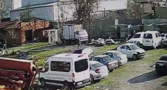 Tavuk Kovalayan Köpeği Sopayla Dövdüler