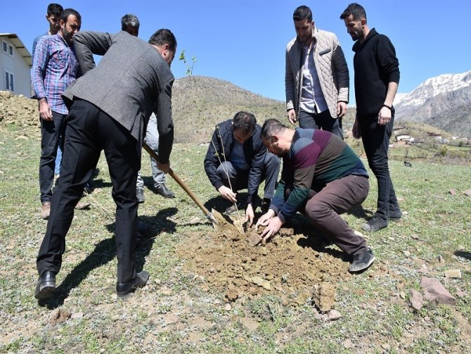 Sason’da İpek Böcekçiliği Geliştirme Projesi Dahilinde Dut Fidanı Dikildi