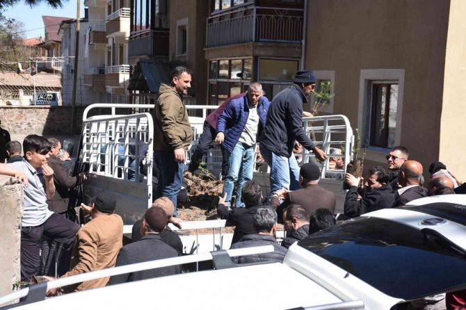 Genç’te Vatandaşlara Fidan Dağıtıldı