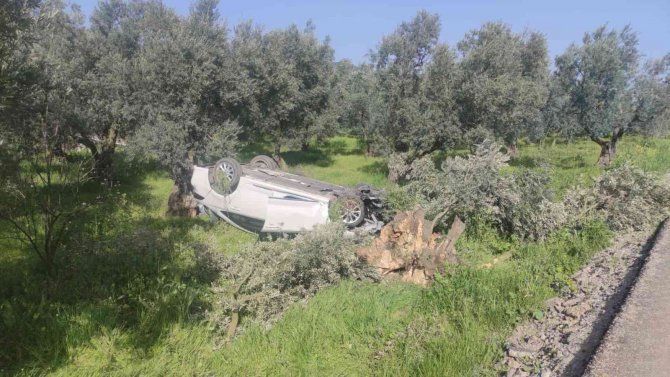 Otomobil Zeytinliğe Uçtu: 2 Yaralı