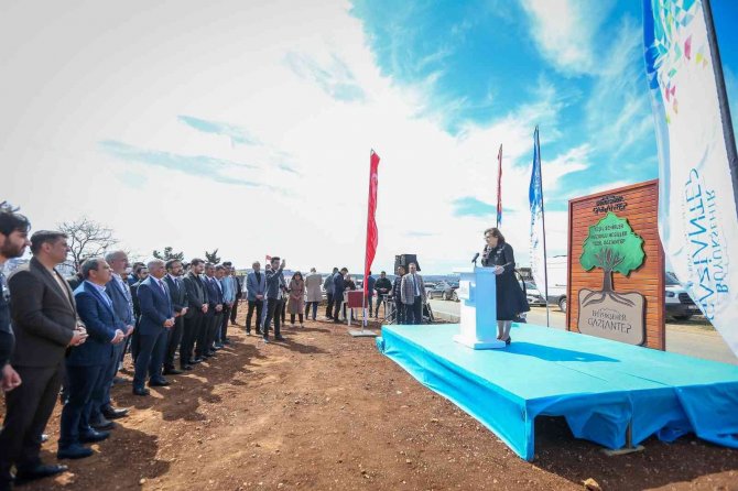 Büyükşehir 250 Karaçam Dikimi Yaptı