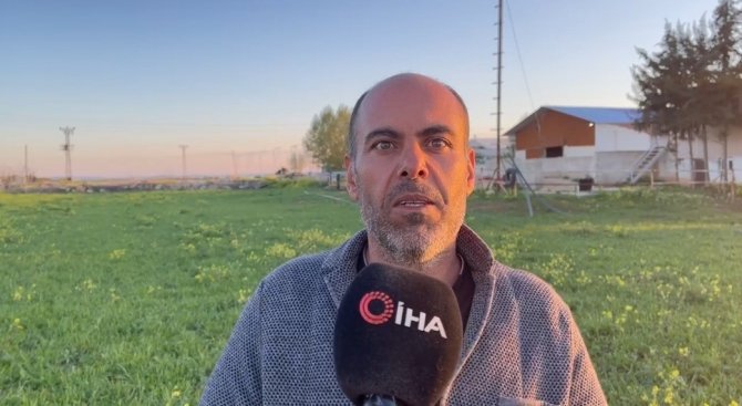 Şanlıurfa’da Don Ekinleri Ve Ağaçları Vurdu