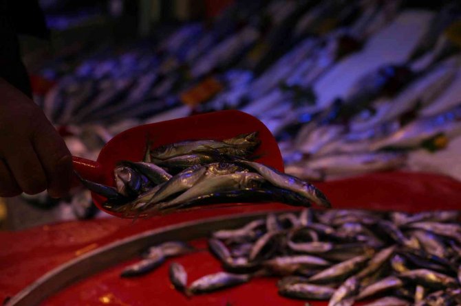 Sezonun Son Balıkları Tezgâhlarda