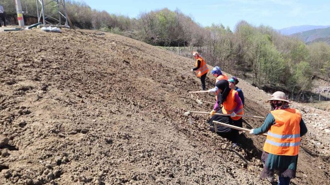 Düzce Katı Atık Tesisi Lavanta Kokacak