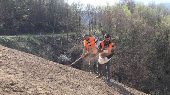 Düzce Katı Atık Tesisi Lavanta Kokacak