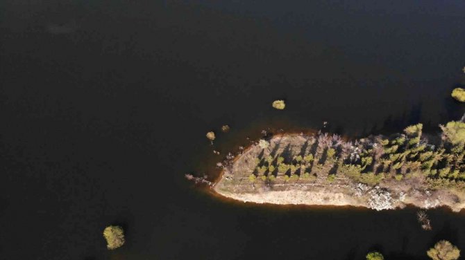 Yağışlar, Trakya’daki Barajların Umudu Oldu