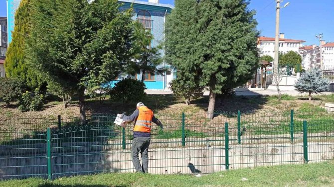 Gediz’de Larva İle Mücadele Başladı