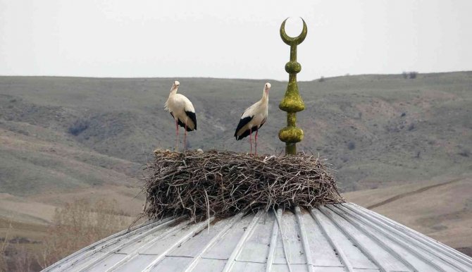 Yozgat İlkbahar Mevsiminde Göçmen Misafirlerini Ağırlıyor