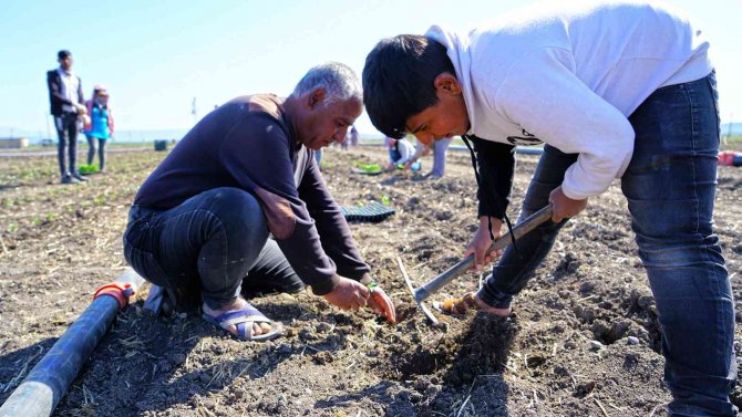 Kahramanmaraş’ta Çiftçilere Biber Fidesi