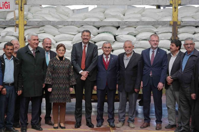 Çiftçilere Tohum, Fidan, Şeker Ve Gübre Desteği