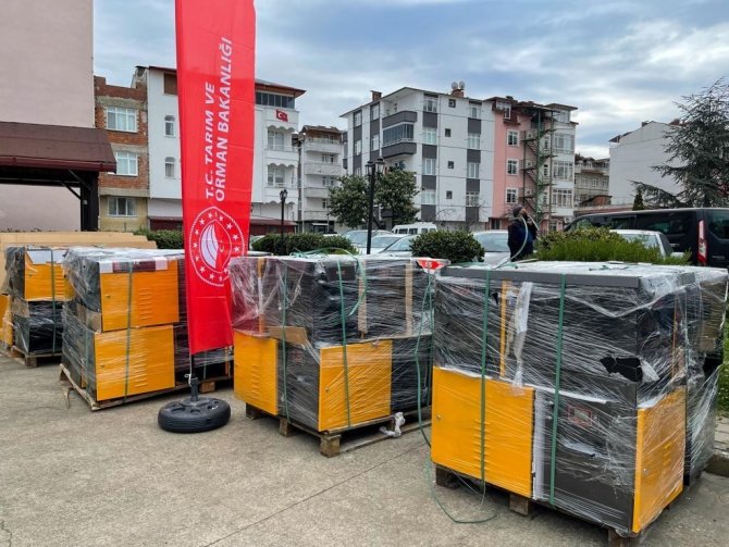 Ordu’da Küçükbaş Hayvan Yetiştiriciliği Gelişiyor