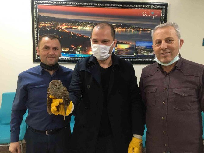 Yaralı Halde Bulunan İ̇shak Kuşu Koruma Altına Alındı