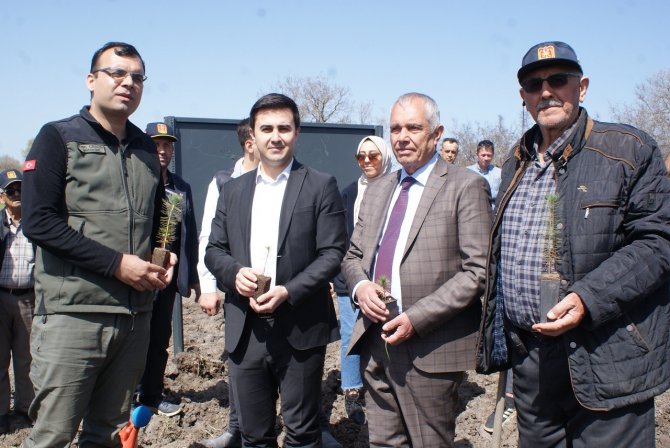 Şehit Ve Gaziler İçin Fidan Dikildi