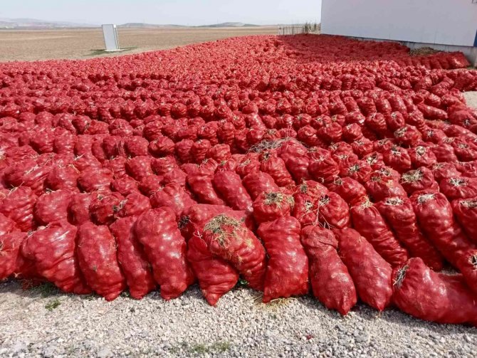 Meyve Sebze Halindeki Komisyoncular Yüzünden Ürünleri Depolarda Çürüyen Çiftçilerin Tek Umudu Hal Yasası