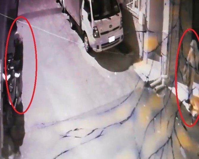 Balkondan Hırsızın Kafasına Tabak Yağdırdı, Hırsız Böyle Kaçtı