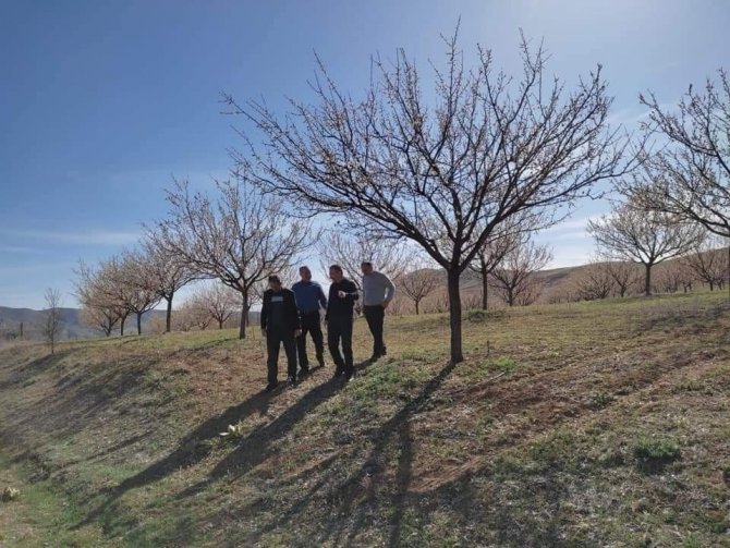 Elazığ’da Zirai Don Nedeniyle Hasar Tespit Çalışmaları Başladı