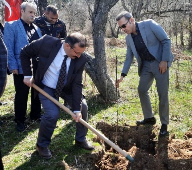 Emet’te Küreci Cinsi Elma Fidanları Toprakla Buluştu