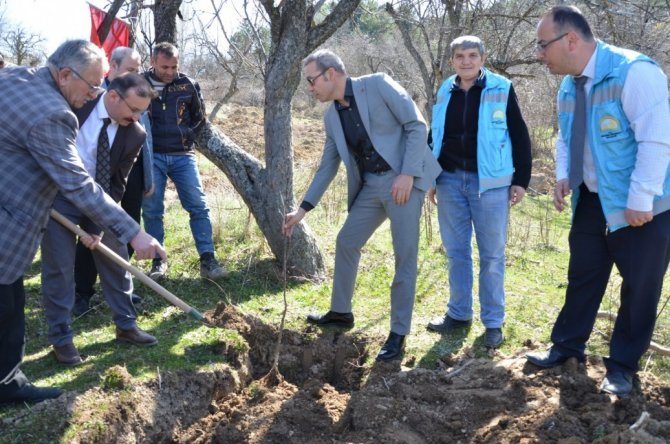 Emet’te Küreci Cinsi Elma Fidanları Toprakla Buluştu