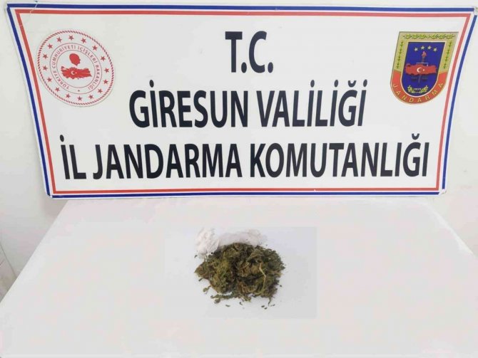 Uyuşturucu Zulasını Narkotik Köpeği Buldu