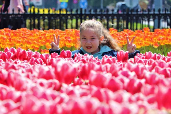 Samsun’da Lale Zamanı Bu Sene Geç Başladı