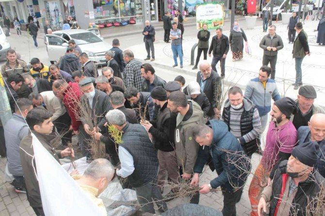 İ̇nebolu’da Vatandaşlara Ücretsiz Meyve Fidanı Dağıtıldı
