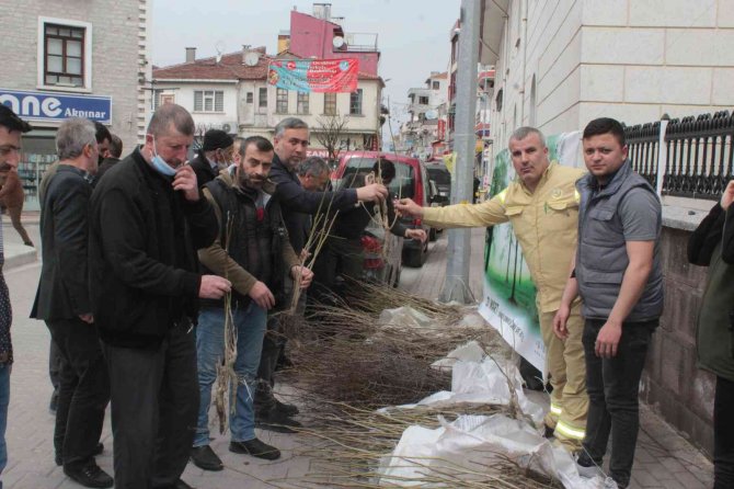 İ̇nebolu’da Vatandaşlara Ücretsiz Meyve Fidanı Dağıtıldı