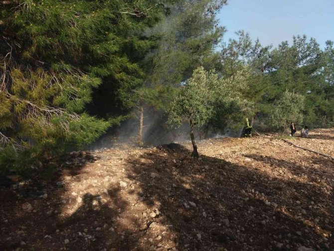 Temizlik Amaçlı Yakılan Ateşler Yangınlara Neden Oluyor