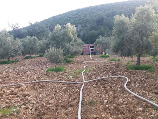 Temizlik Amaçlı Yakılan Ateşler Yangınlara Neden Oluyor